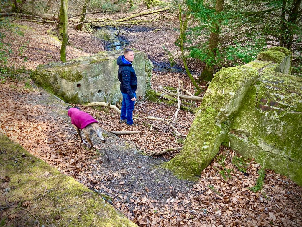 Ruined buildings off to the left of the path