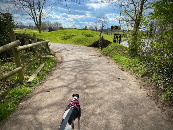 Left at the golf course pond