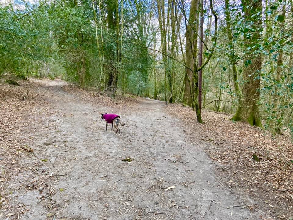 Take the right-hand fork