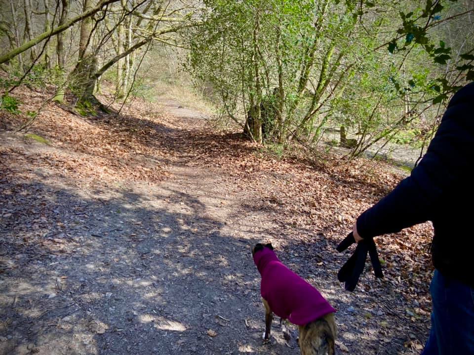 Right-hand path at the fork, where you can see a bench over to the right