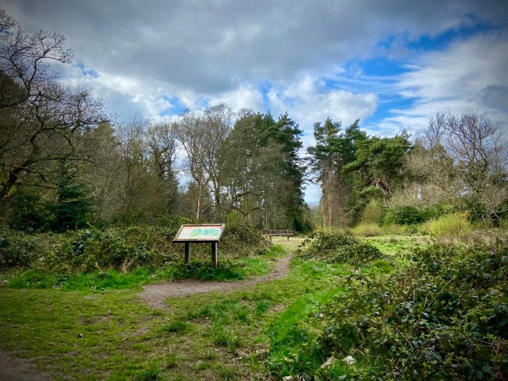 Information board at the view