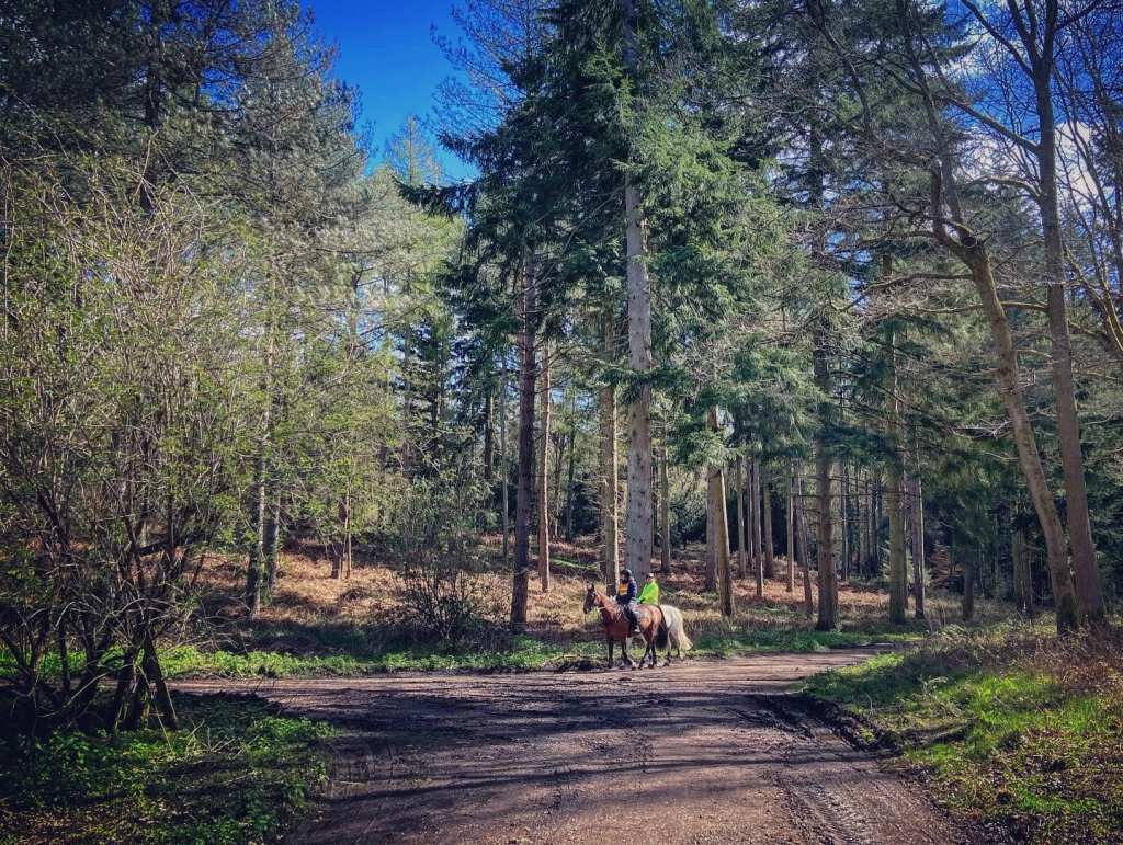 Bear round to the right 