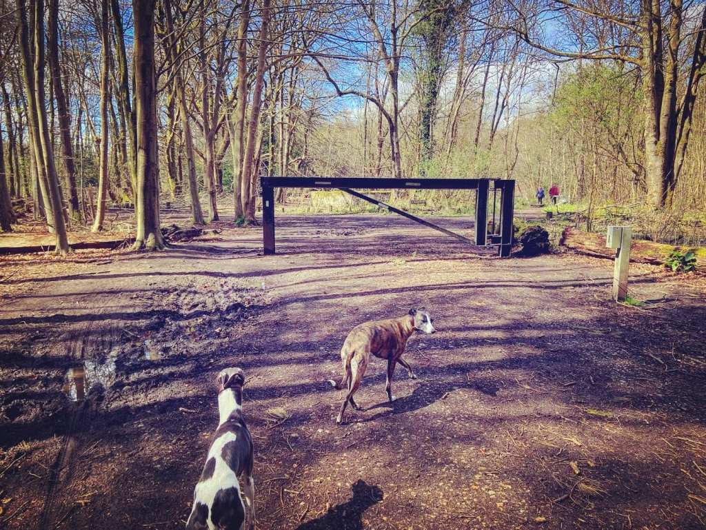 Turn right after the black barrier