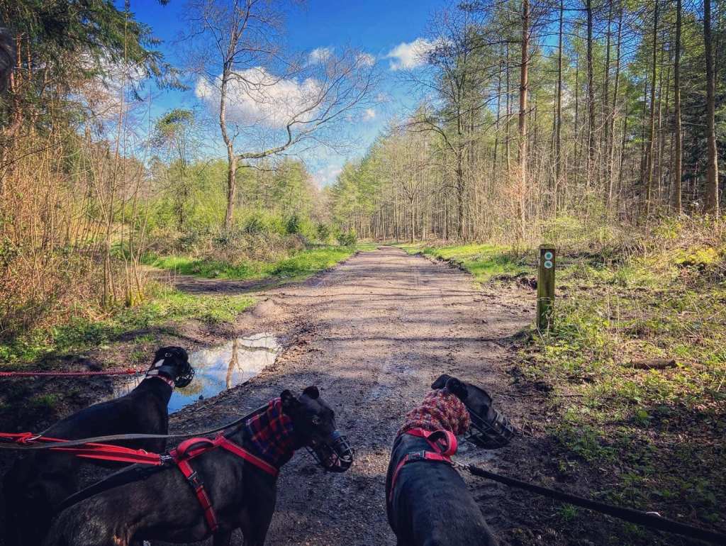 Continue straight at the crosspaths