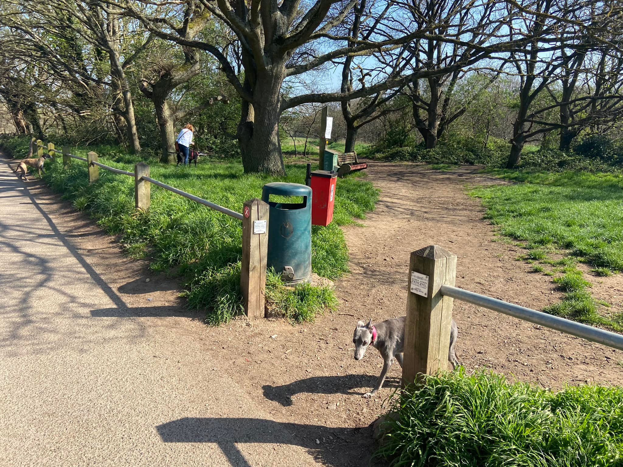 Through the gap by the bins