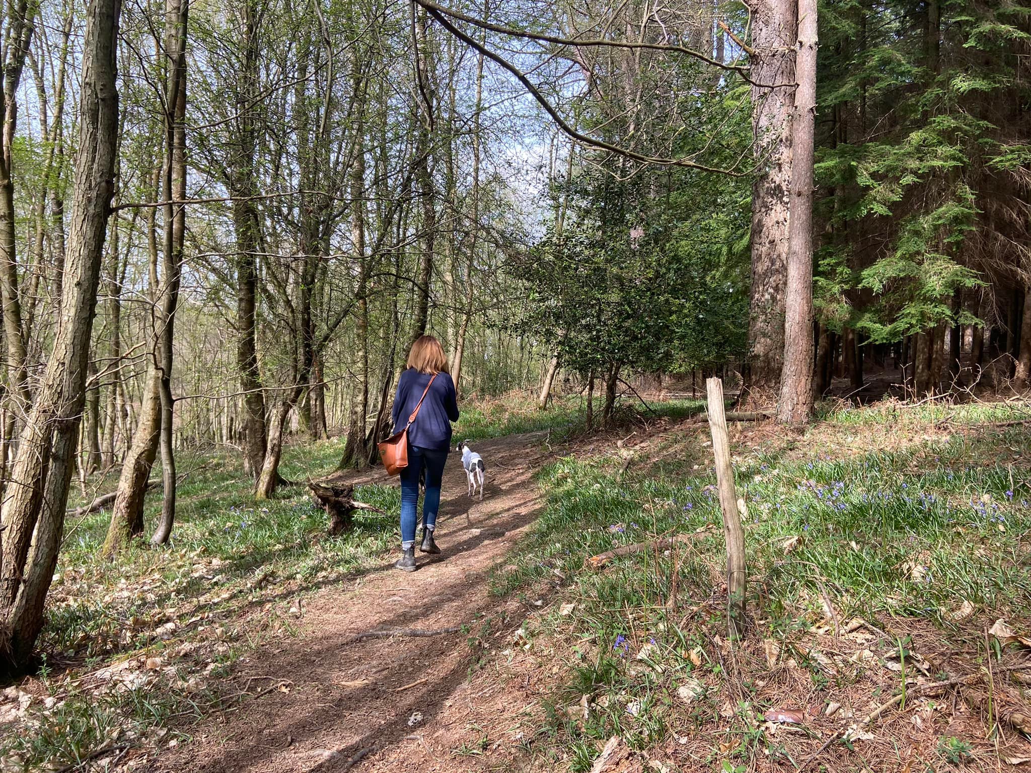 Pass the post/stick poking up from the ground