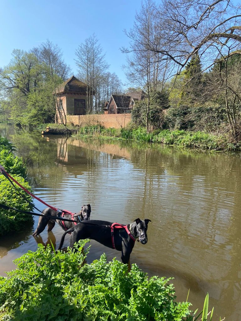 Drew and Ollie in front of John Donne's Summer House