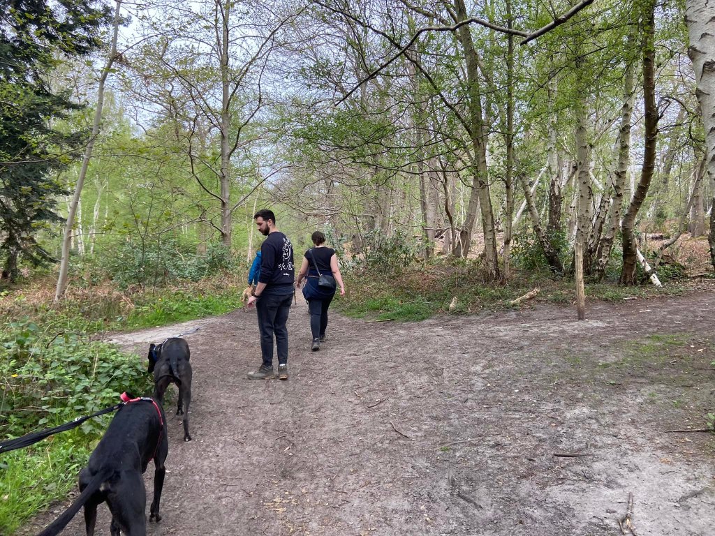 Straight over at the cross paths where there is a raggedy post on the right