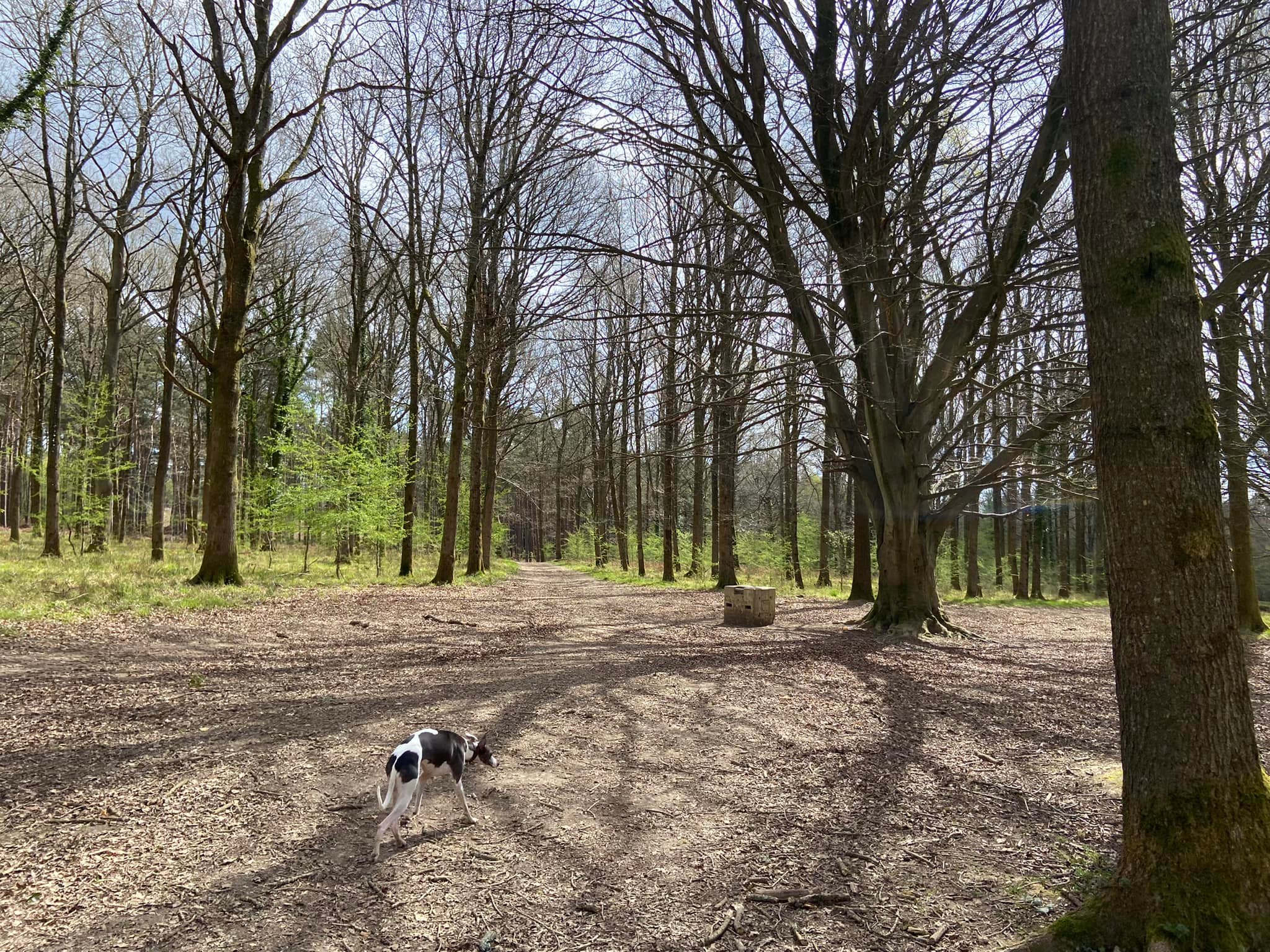 Straight over at 1,000kg block