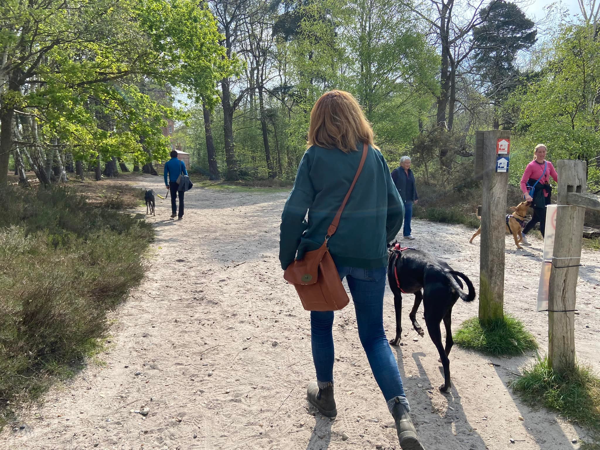 Continue past the fence to the tower