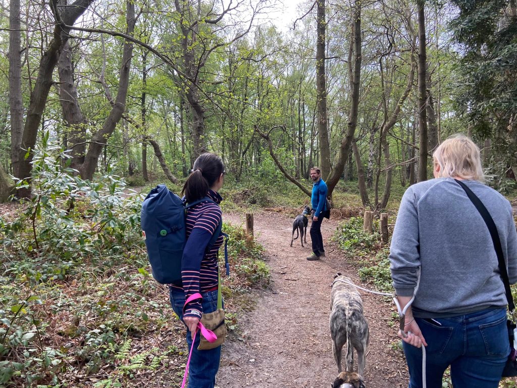 Pass between the small posts then fork left