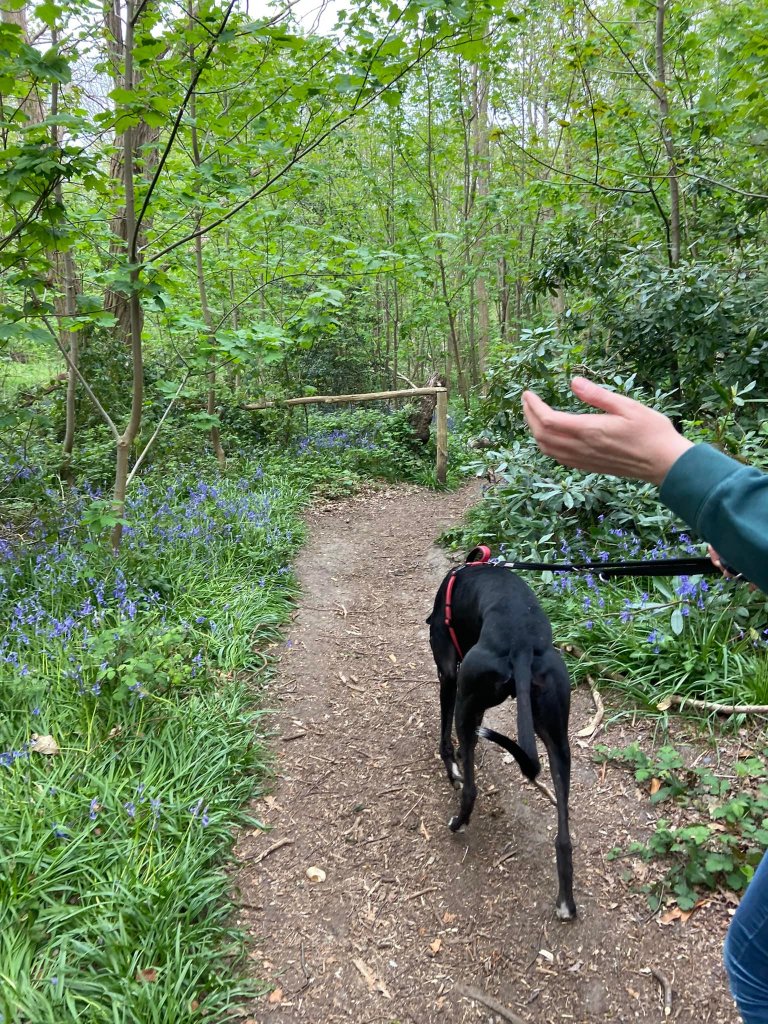 Pass to the right of a wooden barrier