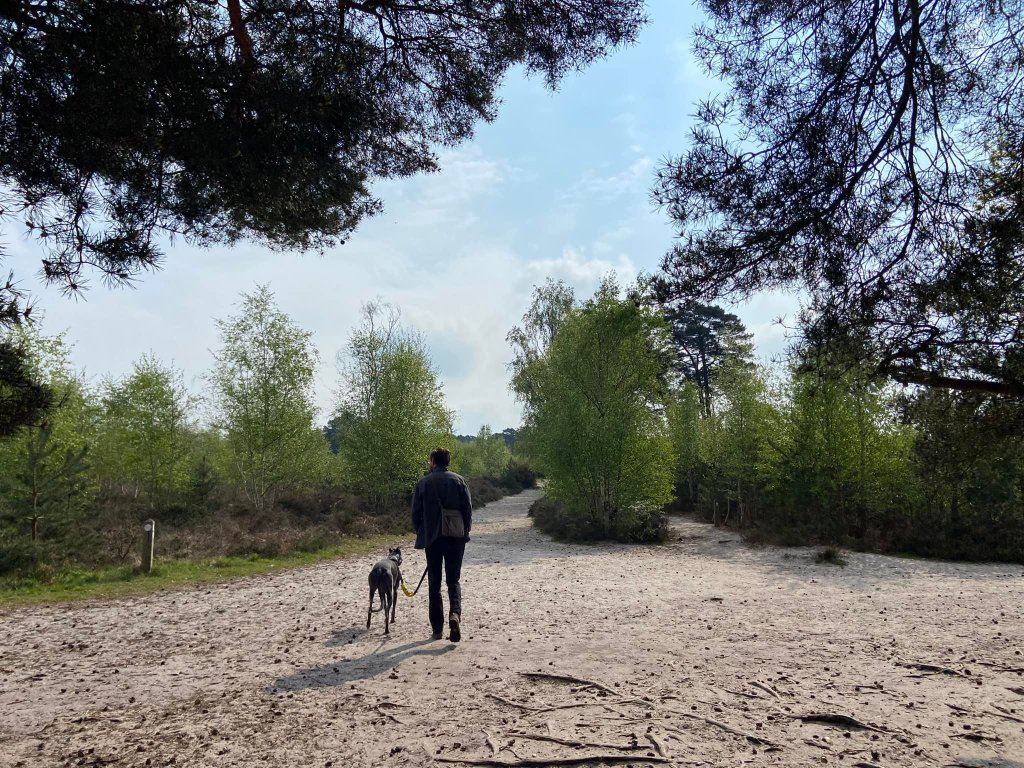 At the cross paths, take the left path of the two ahead