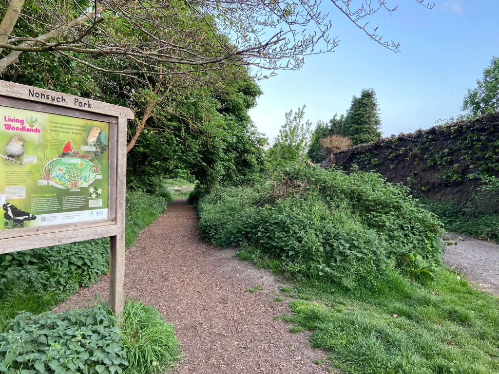 Bark chipped path leads back to the grassy area by the car parks