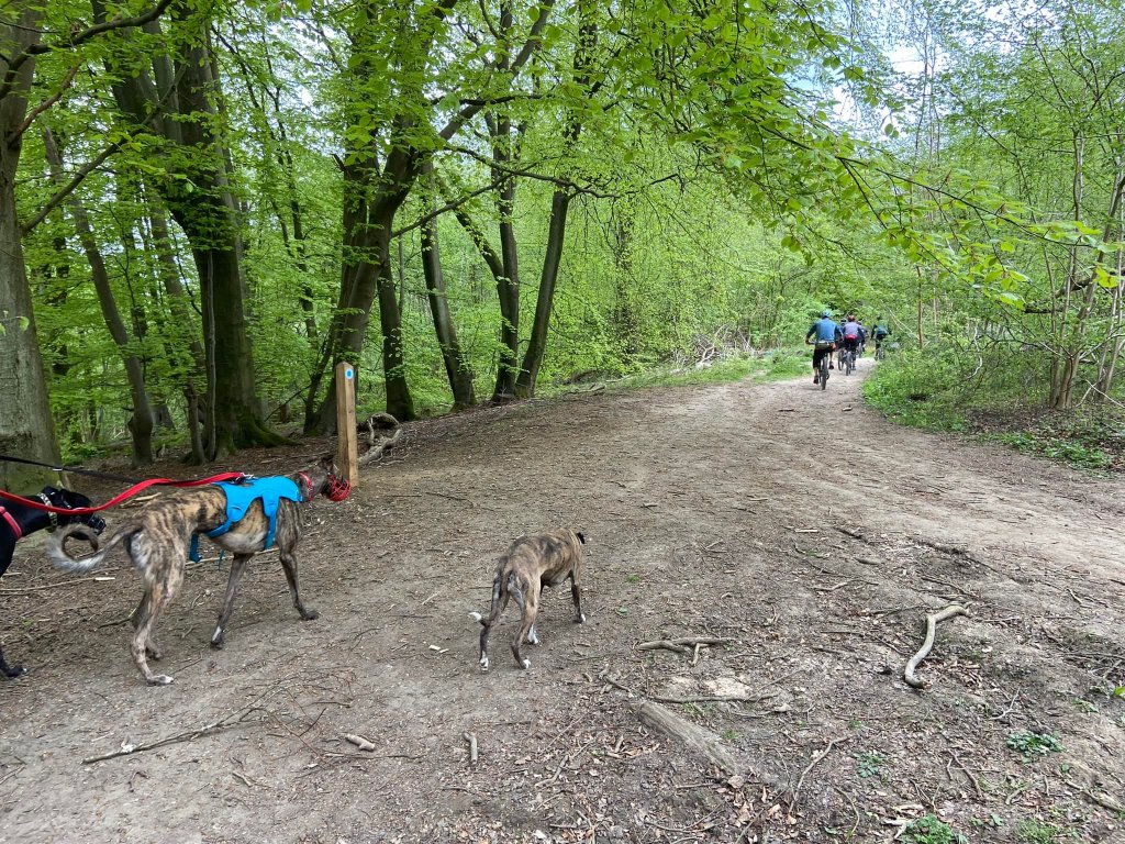 Continue straight past the marker post