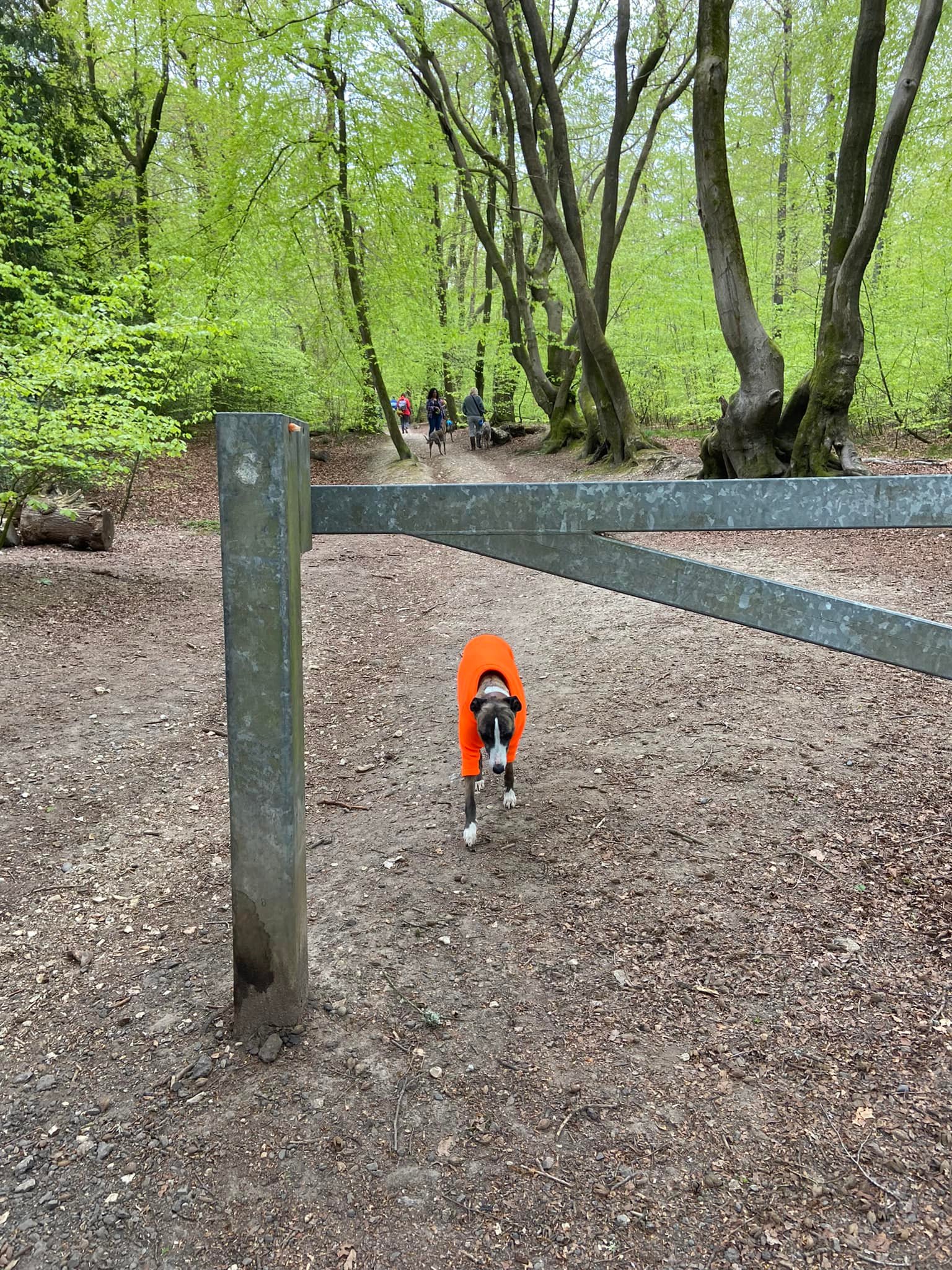 Path away behind barrier