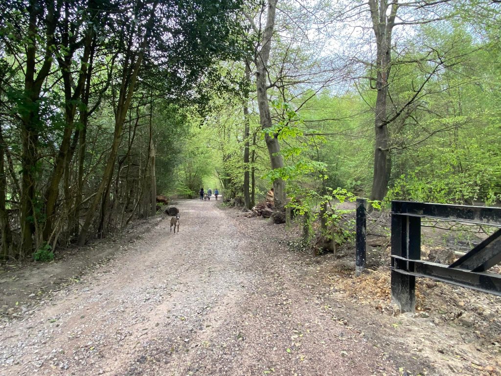 Pass the black barrier and continue ahead