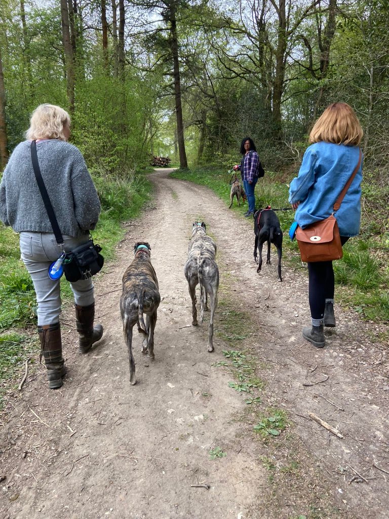 Turn right at the end of the path by the log pile