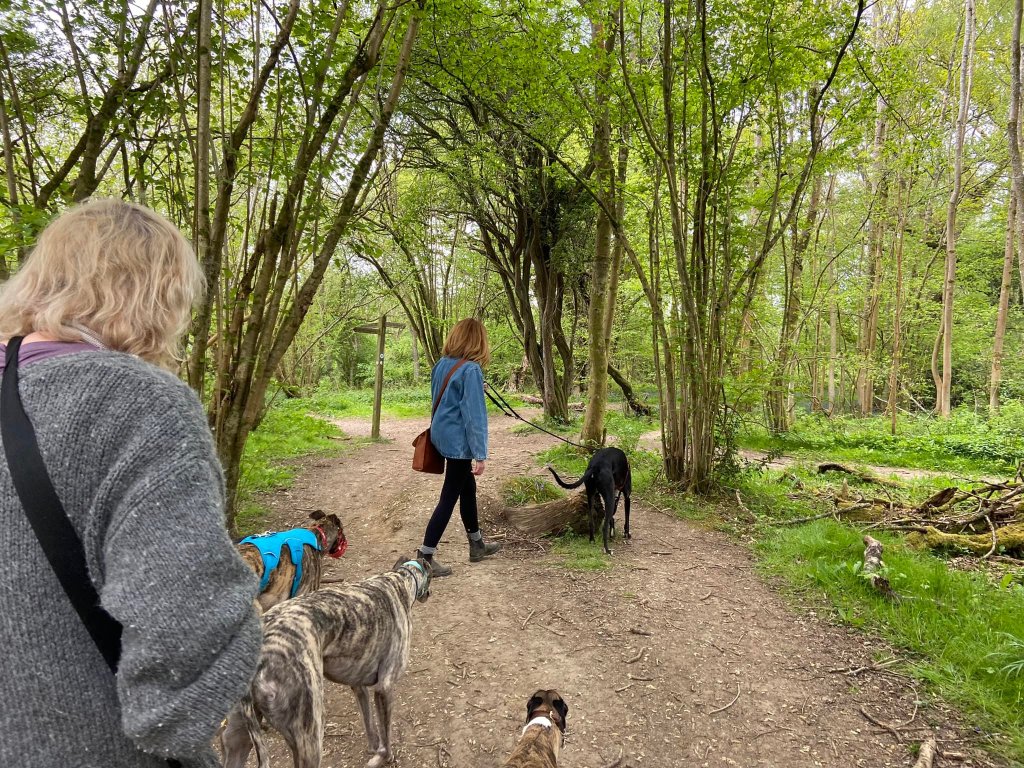 Straight over at the cross paths