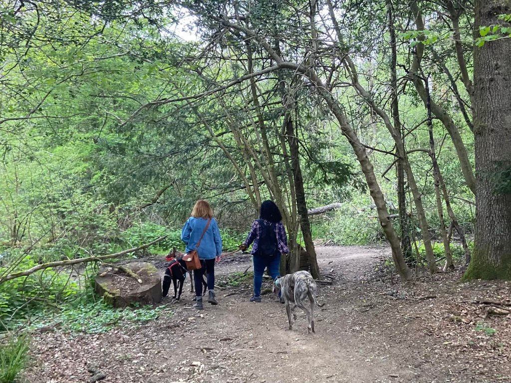 At the cross paths, ignore the small path ahead and turn right