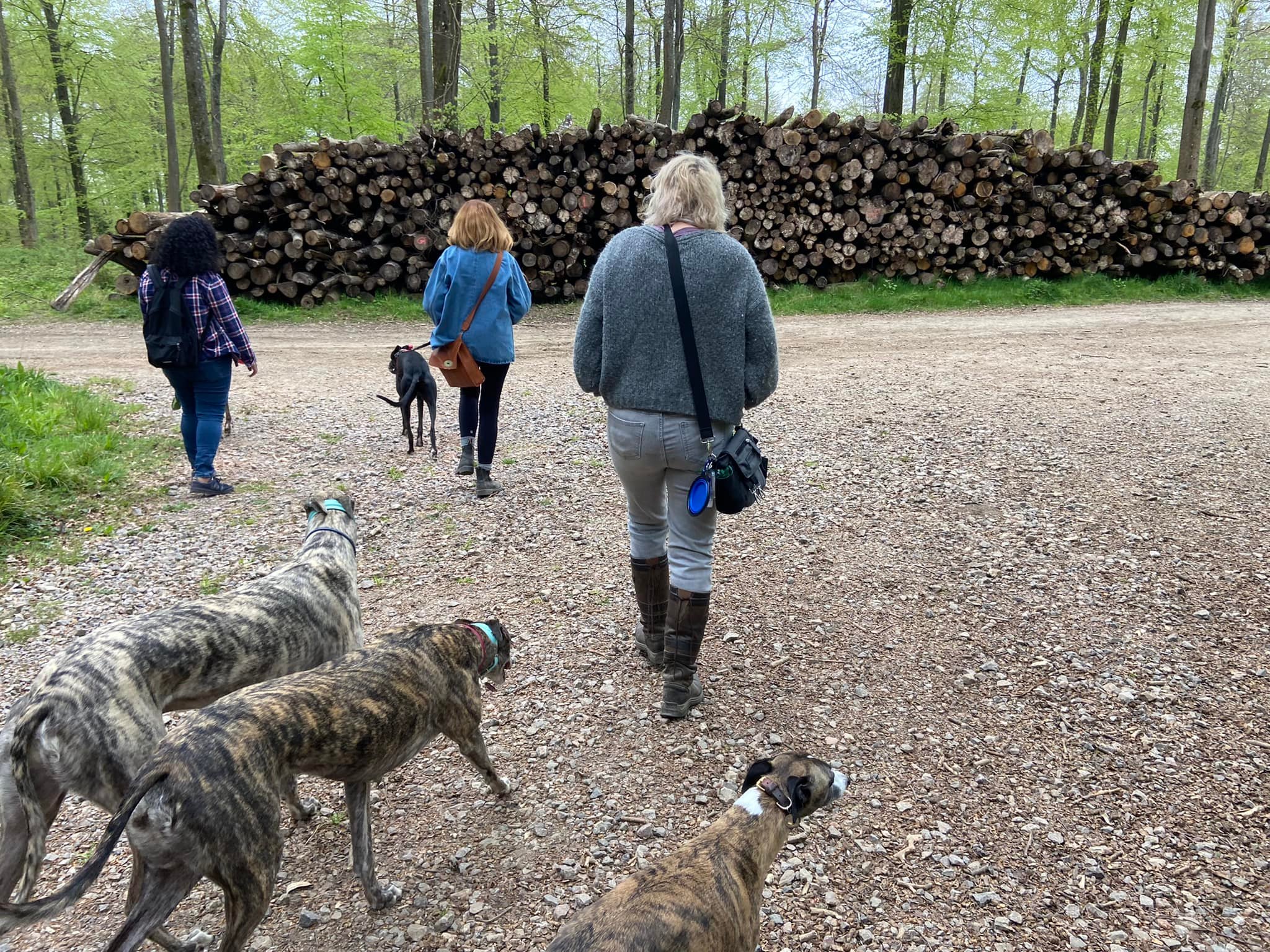 Turn right at the end of the path by the log pile