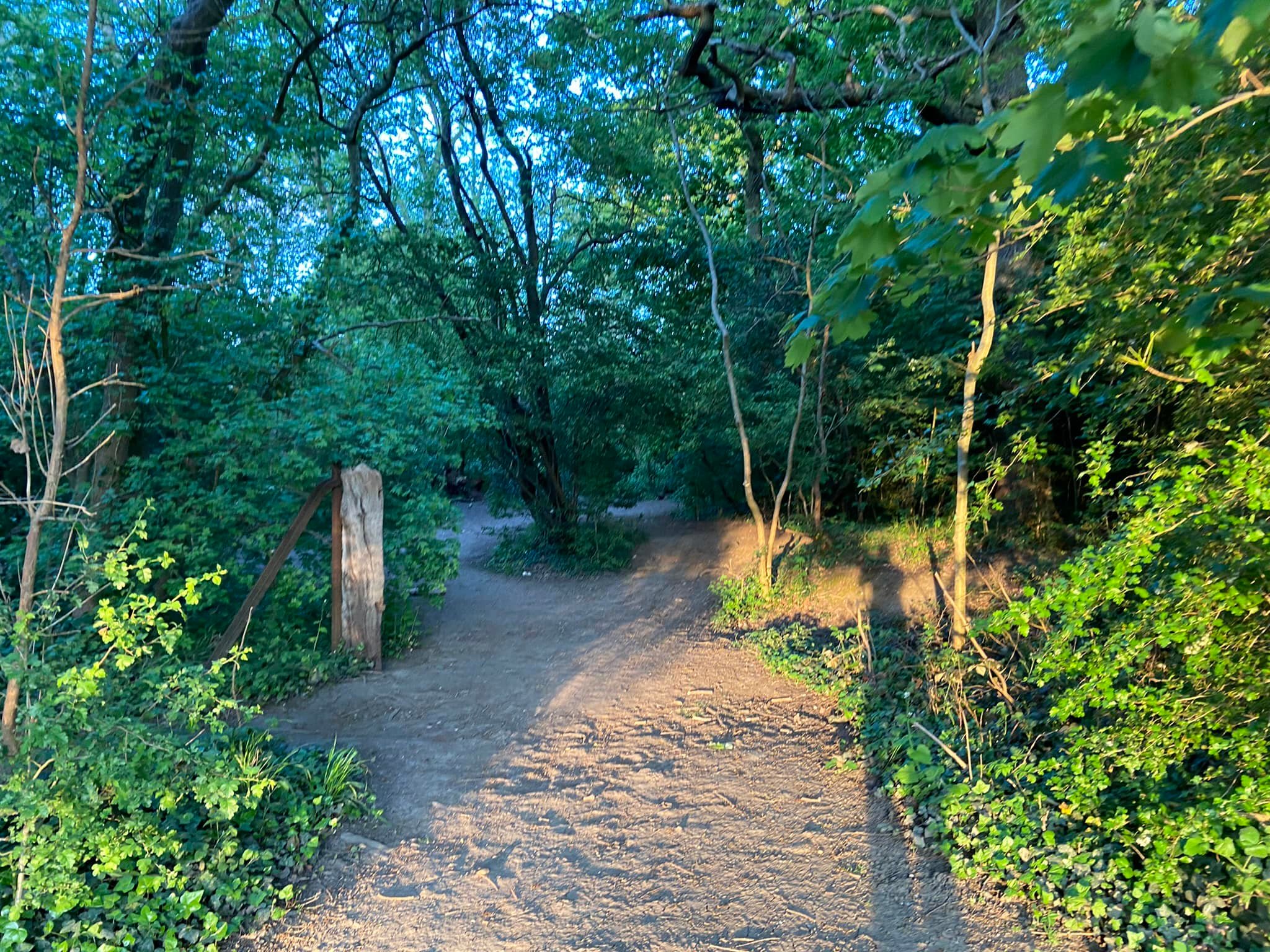 Pass the thick wooden post