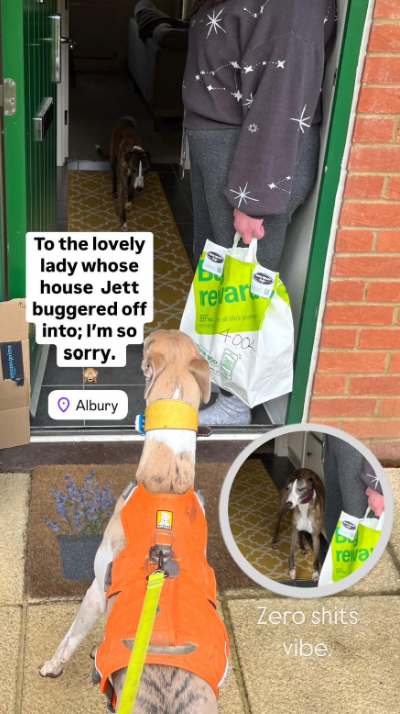 Jett in the house of a stranger